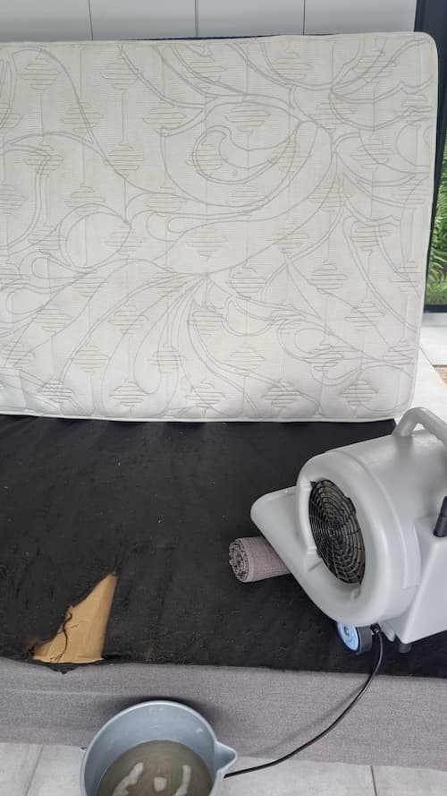 Mattress Cleaning Ballito