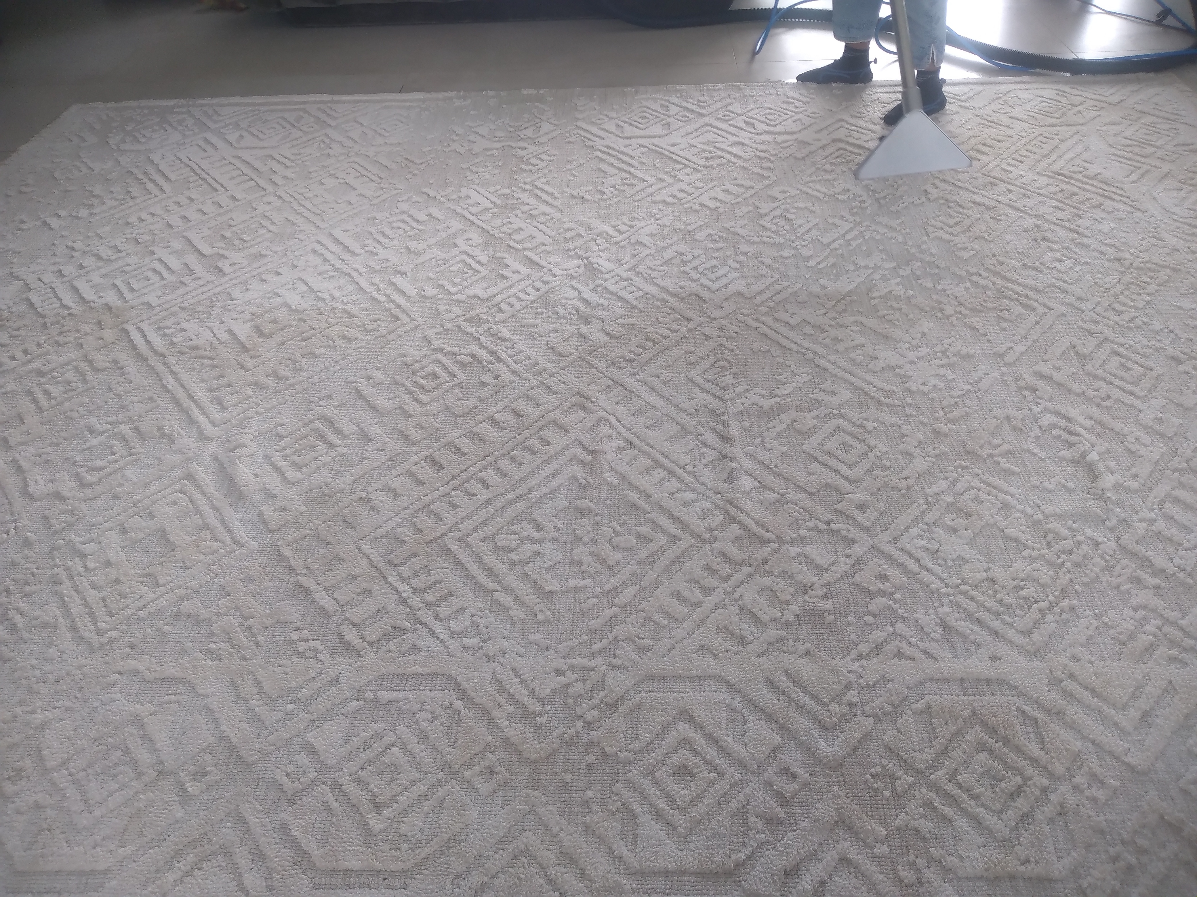 Seaton Estate, Ballito 1 Carpet Deep Extraction Cleaning in Seaton Estate, ballito before the cleaning process