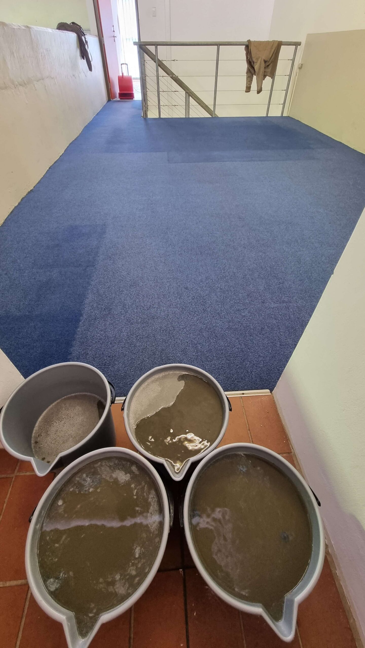 Commercial Carpet Cleaning